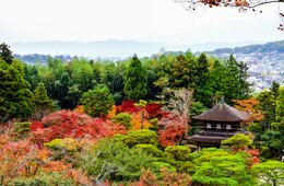 京都市、暮らしと観光をつなぐポータルサイト開設