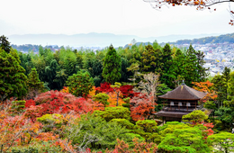 京都市、暮らしと観光をつなぐポータルサイト開設