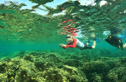インバウンドに人気のアクティビティ、1位はシュノーケリング　欧米豪では文化体験が人気