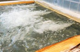 スーパー銭湯をトリップアドバイザーに掲載するメリットは？集客するためのポイントを解説