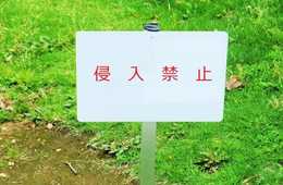 訪日中国人観光客はマナーが悪いって正直なところどうなの？