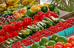 Googleビジネスプロフィールのカテゴリとは？重要な理由、設定する際の3つのポイント