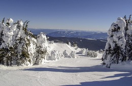 観光庁「国際競争力の高いスノーリゾート形成促進事業」に係る地域公募、3/28まで