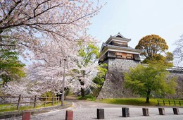 熊本県、台湾中心に訪日客増加　課題は消費単価の低さ