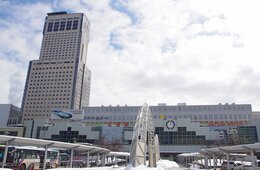 総務省、札幌市など2県9市の宿泊税に同意