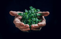 エシカル消費とは？意味・具体例から企業・個人の取り組みまで解説