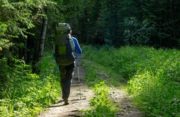 訪日客「旅行中に困ったことはなかった」が半数超え　ごみ箱の少なさ、コミュニケーションが引き続き課題：訪日外国人旅行者受入環境に関する調査（観光庁）