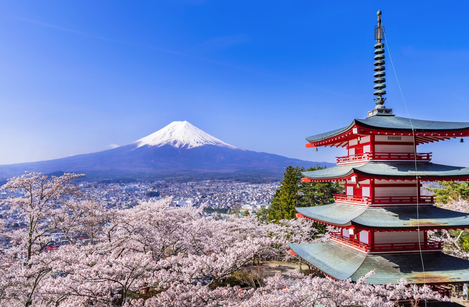 観光の実態と志向 国民の観光に関する動向調査 第２７回（平成２０年度版）/日本観光振興協会/日本観光協会（大型本） Amazon.co.jp: 令和5年版 観光の実態と志向: 第42回 国民の観光