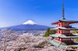 最新の「観光白書」公開！インバウンドに関わる政策の「変更点」を徹底解説【2025年（令和7年）版】