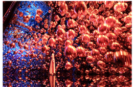 チームラボ、京都に常設アートミュージアム「チームラボ バイオヴォルテックス 京都」2025年秋オープン