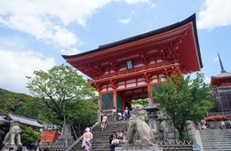 京都市内ホテル、4月の客室稼働率はコロナ以降最高に