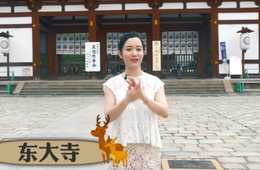 激増訪日中国人客へ…ANA国際線機内放送とスマホ動画による旅マエ・旅ナカ　中国インバウンド新企画立上げ