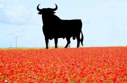 前年比＋10％以上で成長中 訪日スペイン人のインバウンド市場は「男性・初訪日・長期滞在」がキーワード：スペイン人を誘致する場合に知っておきたい数値をまとめてみました