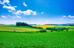 アドベンチャートラベル業界、コロナ禍を経て2024年に安定化　トレンドのトップはグルメ旅行（ATTAレポート）