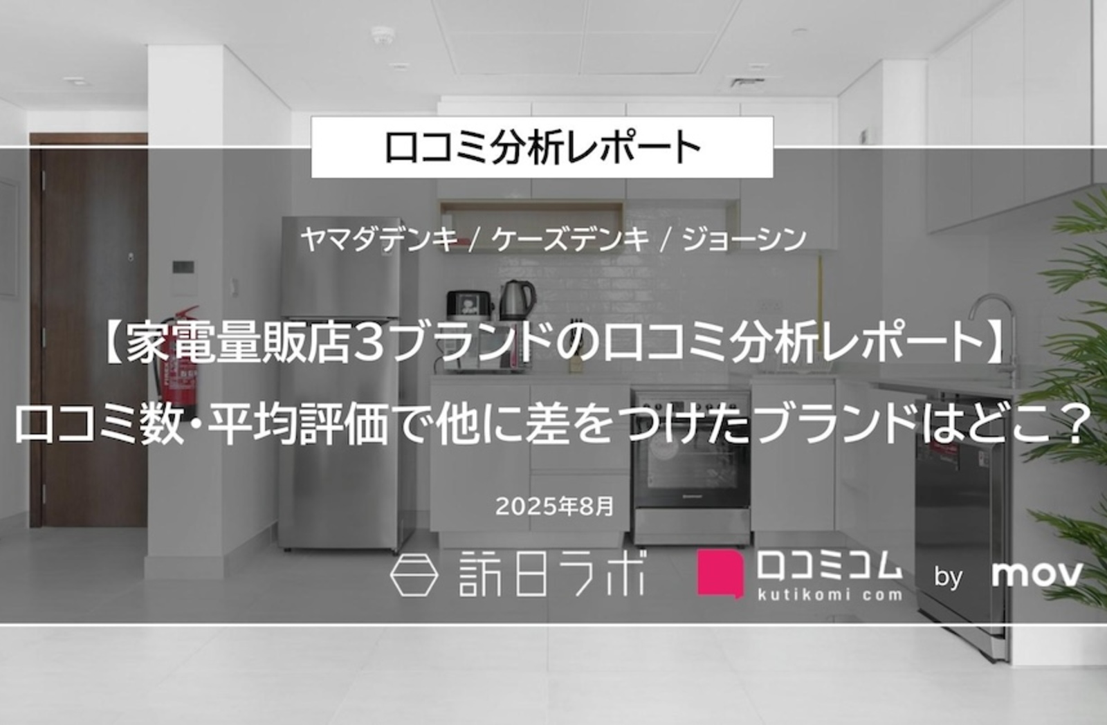 家電量販店3ブランドの口コミ8.7万件を大調査！外国語評価が日本語より
