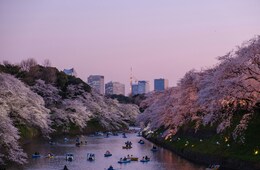 【アジア・中東編】JNTOが語るインバウンド市場の動向とは？：2025年「インバウンド旅行振興フォーラム」を取材