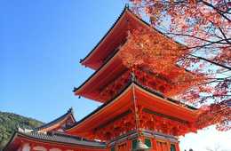 訪日客増えたので「宿泊税」実施します 京都市では45億円の増収見込み 東京都、大阪府に続き独自の宿泊税の導入へ