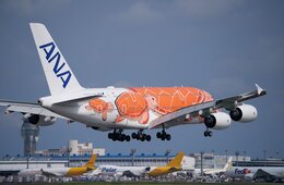 成田空港の11月国際線外国人旅客数、同月として過去最高に