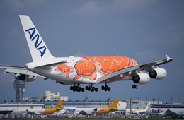 成田空港の11月国際線外国人旅客数、同月として過去最高に