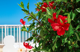 2025年の沖縄県インバウンド数、283万人 コロナ前96.8%まで回復