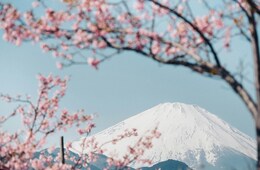 なぜ今、インバウンド対策は必要なのか？【意外と知らないインバウンドの基本 vol.1】