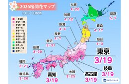 2026年の桜開花予想、東京3/19 大阪3/25ごろと予想