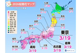 2026年の桜開花予想、東京3/19 大阪3/25ごろと予想