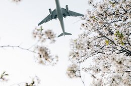 成田空港、2025年度の国際線外国人旅客数2,410万人　年度として過去最高に