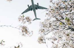 成田空港、2025年度の国際線外国人旅客数2,410万人 年度として過去最高に