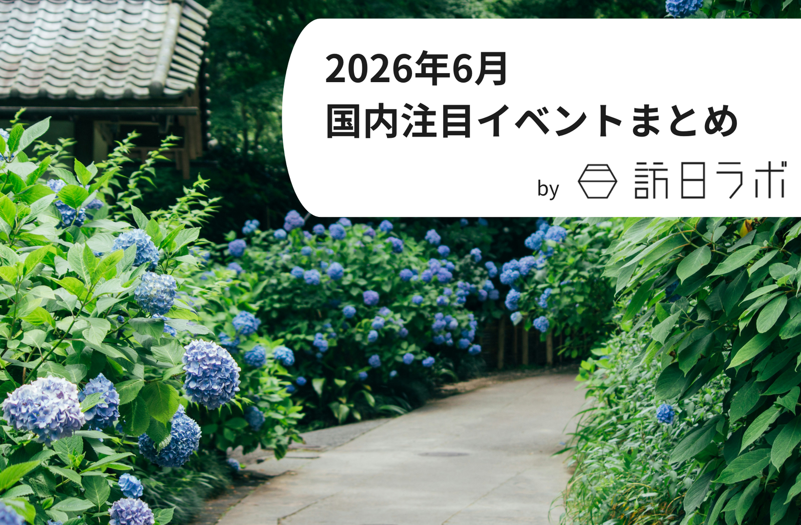 梅雨に楽しむお祭り文化！YOSAKOIソーラン祭りの魅力