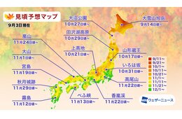 2026年の紅葉、全国的に見頃は遅め　ウェザーニューズが予想