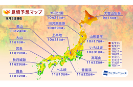 2026年の紅葉、全国的に見頃は遅め　ウェザーニューズが予想