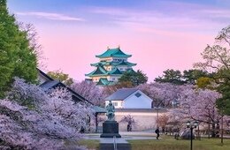ルフトハンザグループ、2027年夏ダイヤで日本路線を大幅拡充 週最大50便に