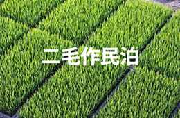 民泊新法の180日対策唯一の手段!?「二毛作民泊」のススメ：180日間は民泊として、残り180日間を短期間賃貸物件として運用するモデル