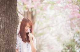 桜のインバウンド需要 12月頃から検索され始め、欧米圏イースター休暇と重なり需要獲得の絶好のシーズン：ジャパンガイドのデータ・口コミからみるお花見人気スポット