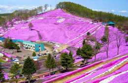 4月は訪日タイ人のピークシーズン 大型連休「ソンクラーン」向け施策 何から着手するのがベスト？→Facebookとyoutubeの活用に鍵が！