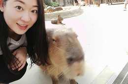 SNSで発信するコンテンツ 成功の秘訣は『ひと気』！：人が紹介している写真や動画コンテンツが、濃いファンがつくポイント！熱狂的ファンを囲ったSNSメディアを確立しよう！