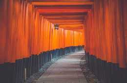 京都のホテル 宿泊客の「4割」がインバウンドという驚きの結果 調査開始以来初の4割超え：2017年の京都のインバウンド市場で知っておきたい5つの数値﻿