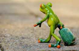 中国語対応していないのに、なぜ？…日本のゲームアプリ『旅かえる』が中国で謎の大ヒット：背景にある中国若者の「癒やし・仏系生活」ニーズをインバウンドプロモーションに活かすには