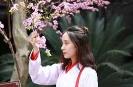 数値で知る「訪日中国人×リピーター」…初訪日は22万、10回以上のヘビーリピーターは30万円以上を消費！知っておくべきたった5つのポイントとは？