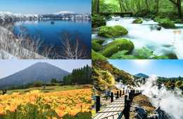 環境省と訪日旅行専門の旅行会社TASが、国立公園オフィシャルパートナーシップを締結