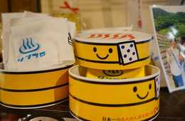 広域観光周遊ルート「温泉アイランド九州」の特徴：火山、温泉を観光資源に欧州圏のニーズを狙う