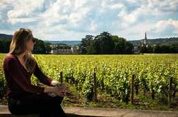 「超富裕層をターゲットにせよ」先進的DMO・カリフォルニア州 ナパ・バレーが仕掛ける世界戦略からインバウンド業界が学べること