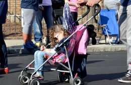 訪日外国人政策の現在の課題と国内外の実践例について