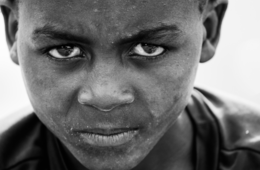 「ゼノフォビア」とは？「外国人が怖い…」外国人観光客に怒鳴られ2500万円をごまかした事件の背景