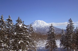 12月に欧米豪インバウンドに注力すべき3つの理由 | クリスマス休暇を狙い撃ちするために今からできる準備とは？