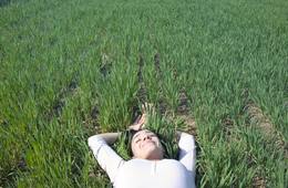 【農泊】年350万円の売上事例も／コト消費＆地方創生でインバウンドで注目急上昇の農泊の4つのメリットを紹介