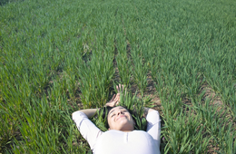 農泊とは？農業体験でコト消費｜農家民宿や民泊、旅館業法との違い、訪日外国人に人気の理由