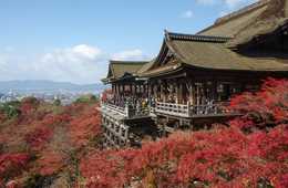 コト消費とは？ 訪日外国人の消費行動がサービスや体験に移行