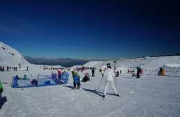 交通業界でのスポーツツーリズム促進の動き：京急グループ、ウィンタースポーツ向け新バス路線「羽田空港～白馬線」の運行を開始